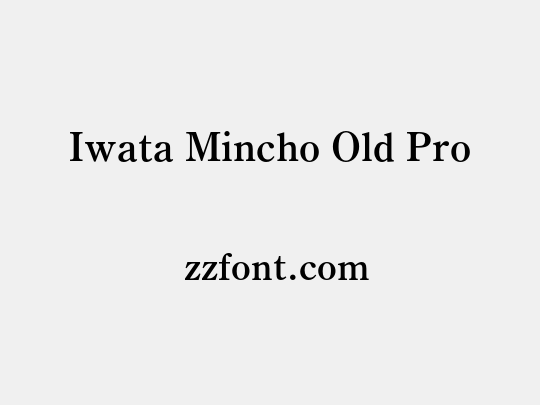 Iwata Mincho Old Pro