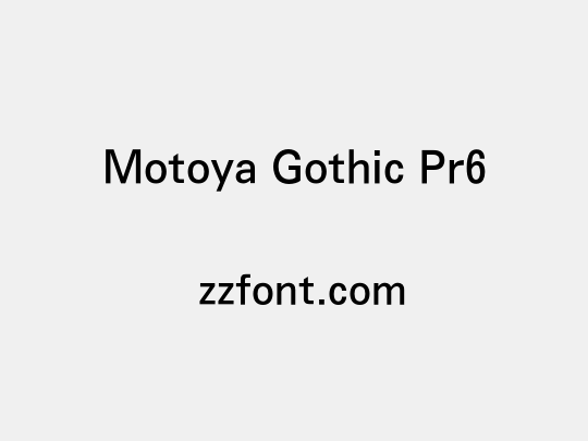 Motoya Gothic Pr6
