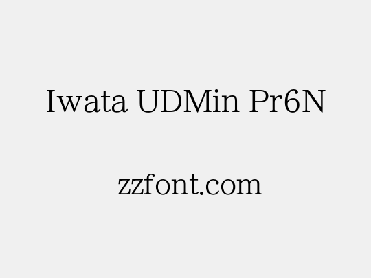 Iwata UDMin Pr6N