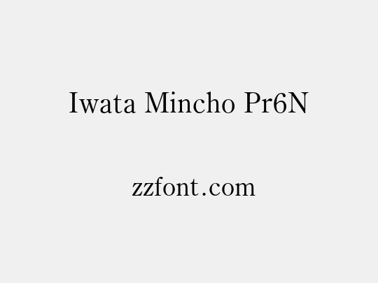 Iwata Mincho Pr6N