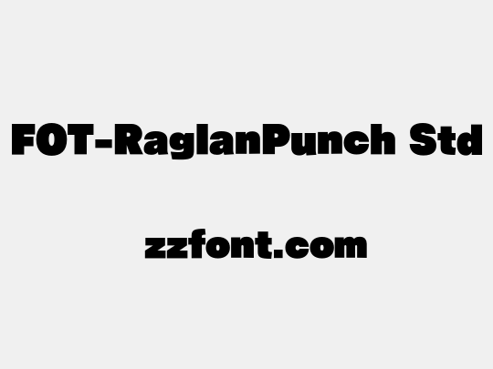 FOT-RaglanPunch Std