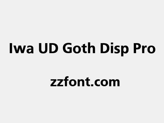 Iwa UD Goth Disp Pro