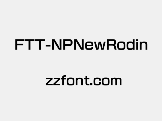 FTT-NPNewRodin