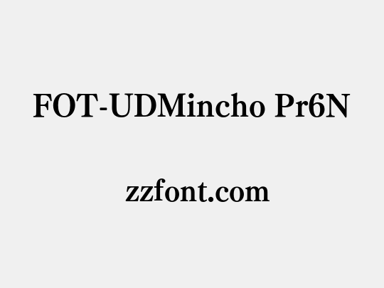 FOT-UDMincho Pr6N