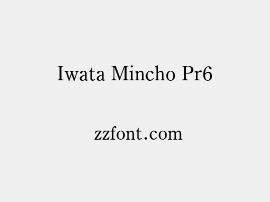 Iwata Mincho Pr6