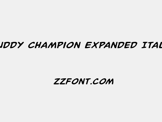 Buddy Champion Expanded Italic