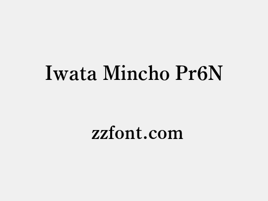 Iwata Mincho Pr6N