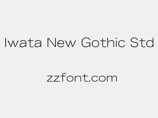Iwata New Gothic Std