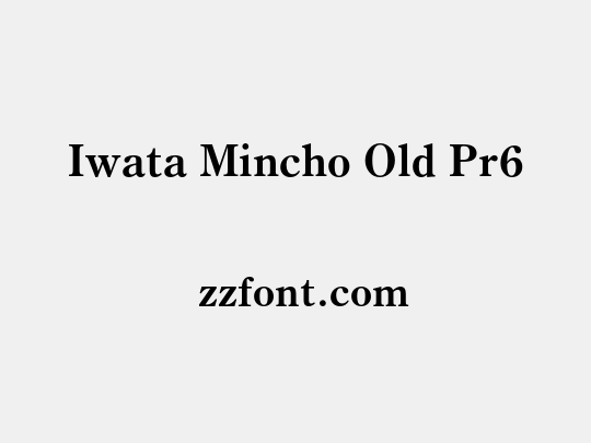 Iwata Mincho Old Pr6