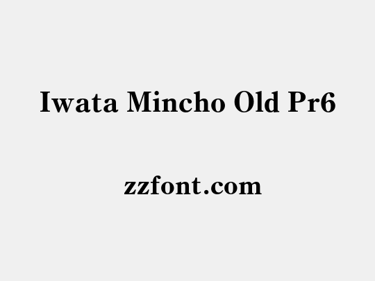 Iwata Mincho Old Pr6