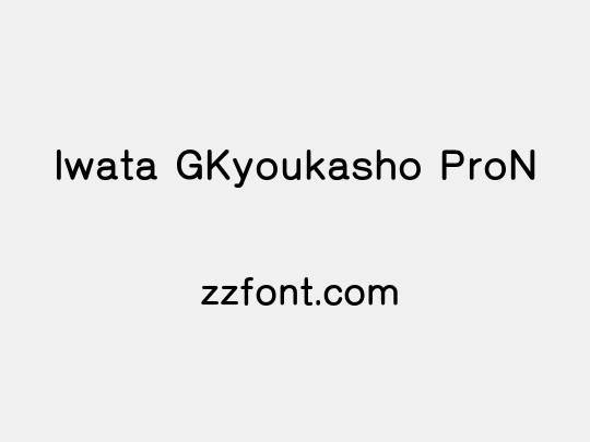 Iwata GKyoukasho ProN