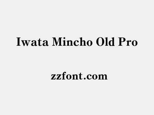 Iwata Mincho Old Pro