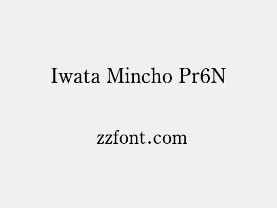 Iwata Mincho Pr6N