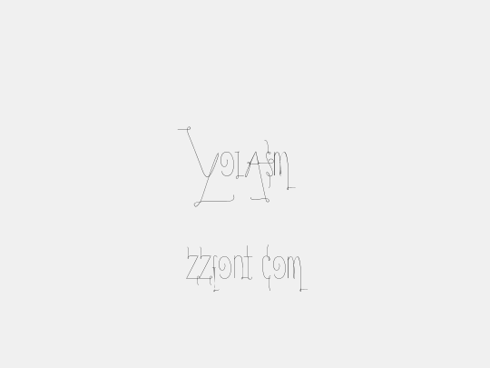 YolAsm