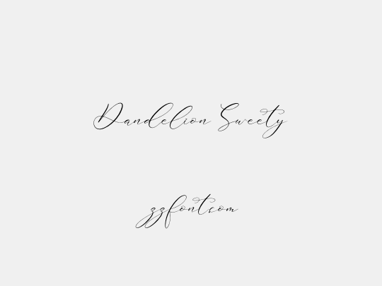 Dandelion Sweety