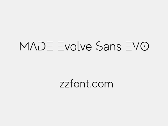 MADE Evolve Sans EVO