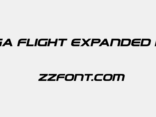 Omega Flight Expanded Italic