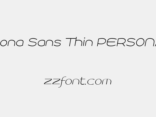 Roona Sans Thin PERSONAL