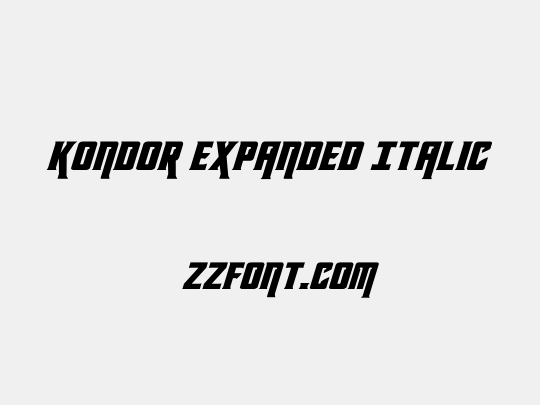 Kondor Expanded Italic