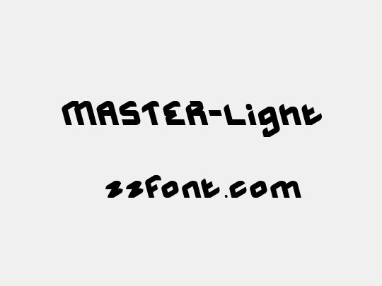 MASTER-Light