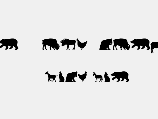 Farm & Wild Animals