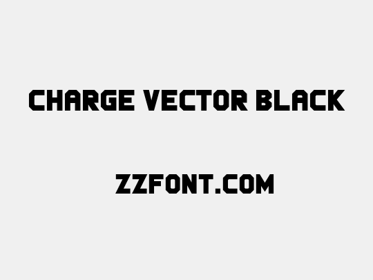 Charge Vector Black