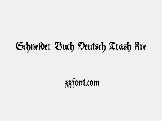 Schneider Buch Deutsch Trash Free