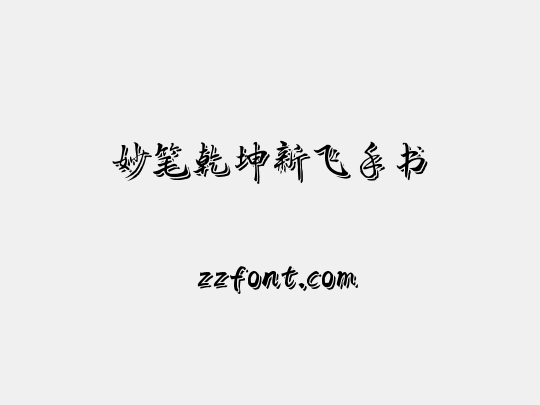 妙笔乾坤新飞手书