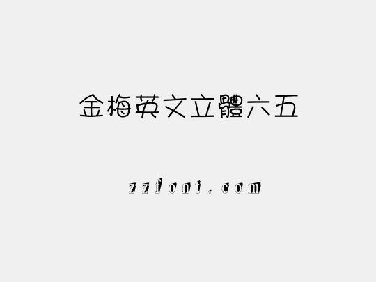 金梅英文立體六五