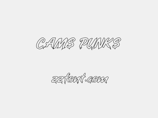 CAMS PUNKS