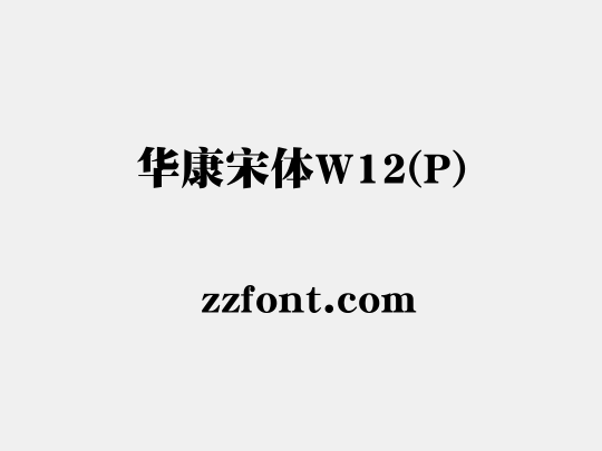 华康宋体W12(P)