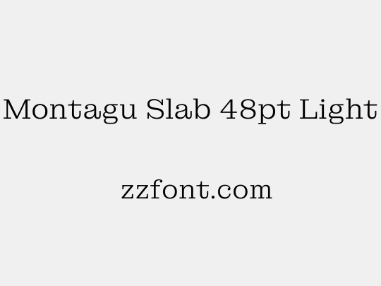 Montagu Slab 48pt Light