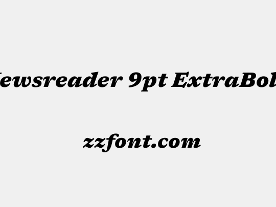 Newsreader 9pt ExtraBold