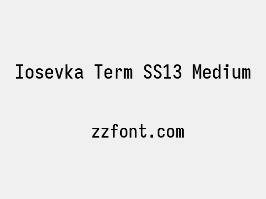 Iosevka Term SS13 Medium