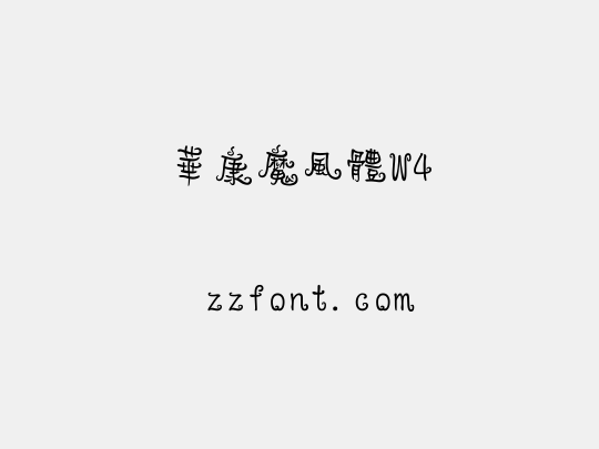 華康魔風體W4