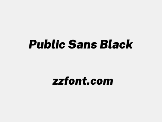 Public Sans Black