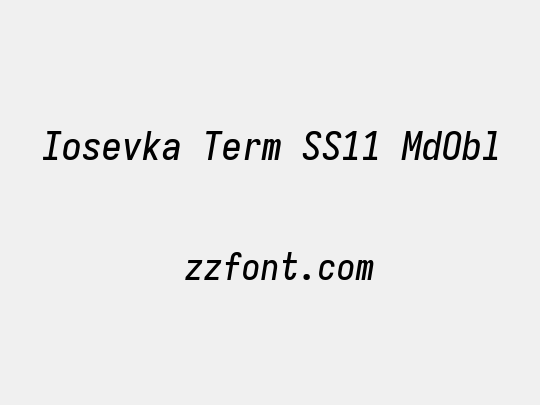 Iosevka Term SS11 MdObl