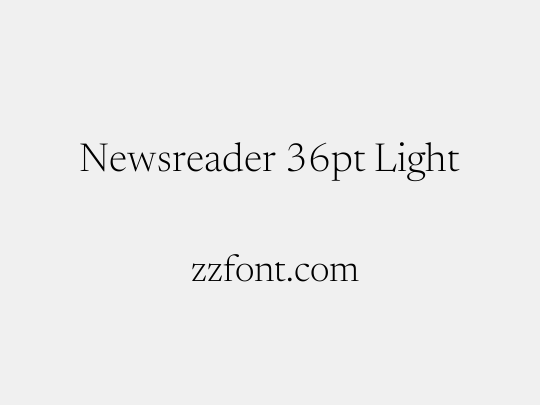 Newsreader 36pt Light