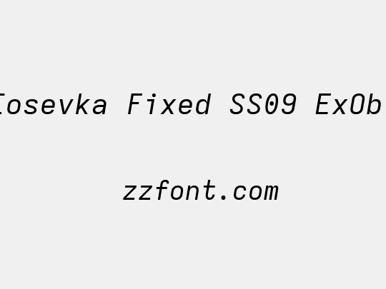 Iosevka Fixed SS09 ExObl