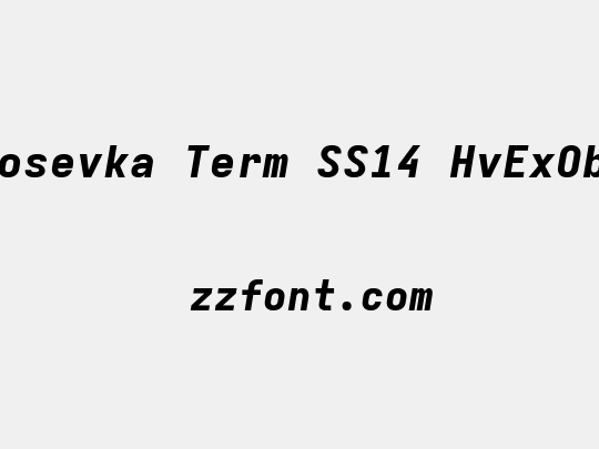 Iosevka Term SS14 HvExObl