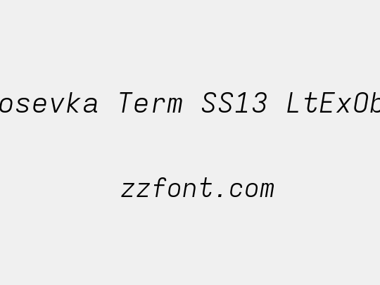 Iosevka Term SS13 LtExObl