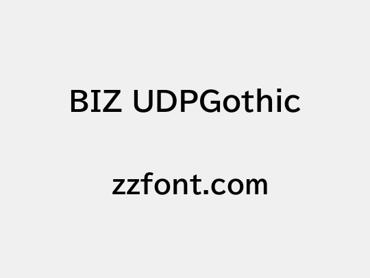 BIZ UDPGothic