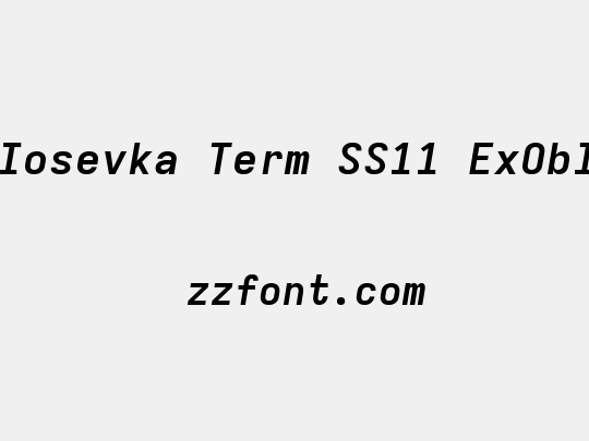 Iosevka Term SS11 ExObl