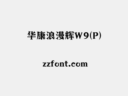 华康浪漫辉W9(P)