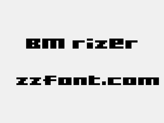 BM rizer