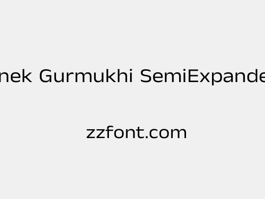 Anek Gurmukhi SemiExpanded