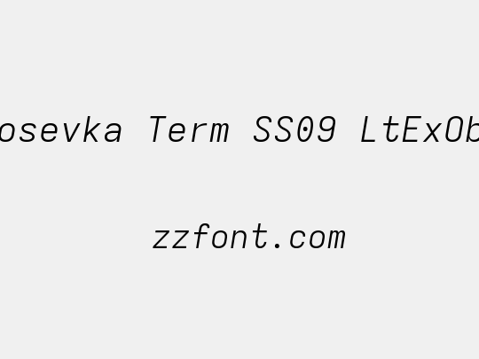 Iosevka Term SS09 LtExObl