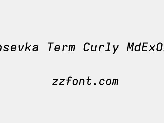 Iosevka Term Curly MdExObl