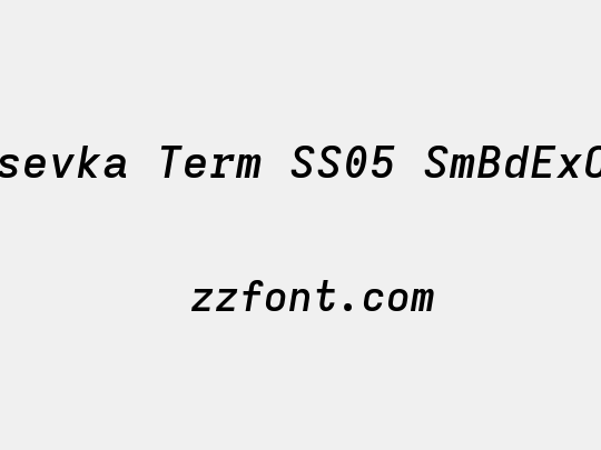 Iosevka Term SS05 SmBdExObl