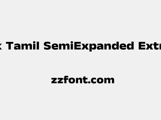 Anek Tamil SemiExpanded ExtraBold